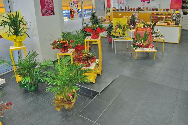 Fleuriste Rapid’Flore