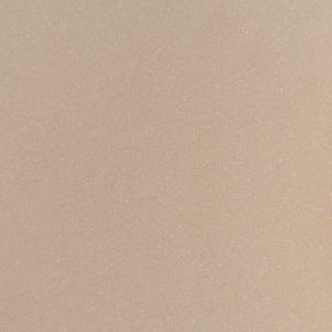 500 Evolution Beige