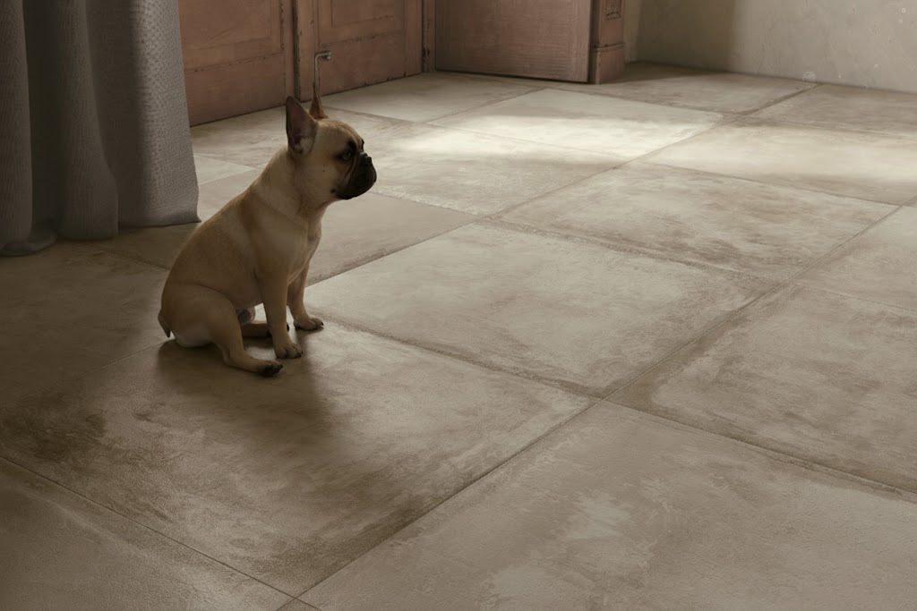 revêtement de sol et animaux - pourquoi choisir du carrelage