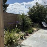 Terrasse carrelée - Cédric Pierre Paysage