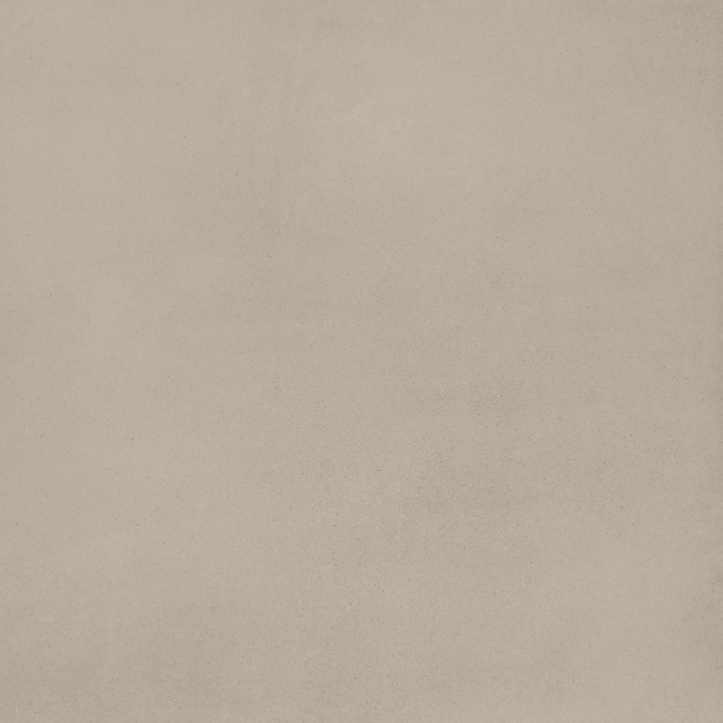 Performance Evolution Gris