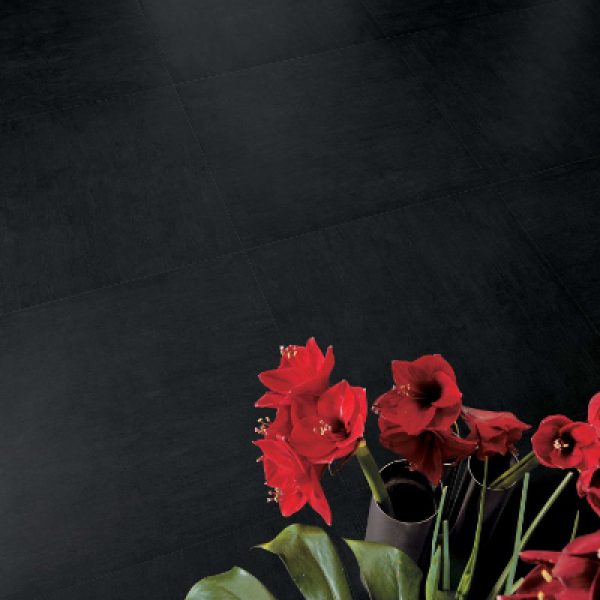 carrelage exterieur noir